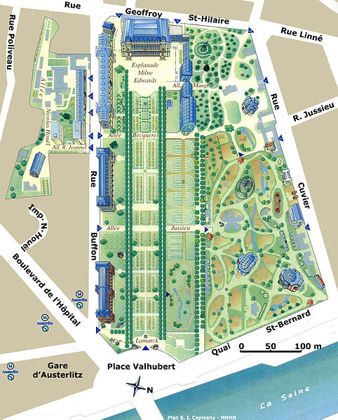 Mapka paryskiego Ogrodu Botanicznego