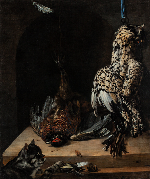 Ptasia spiżarnia z kotem (1652)