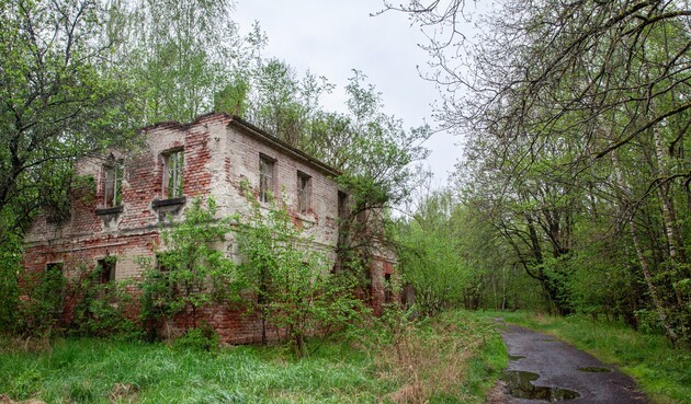 Ostatni istniejący budynek dawnych Wigancic Żytawskich pochłaniany przez las, 2026 – fot. Magdalena Lorek